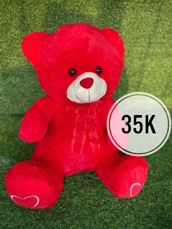 valentines Red teddy gift